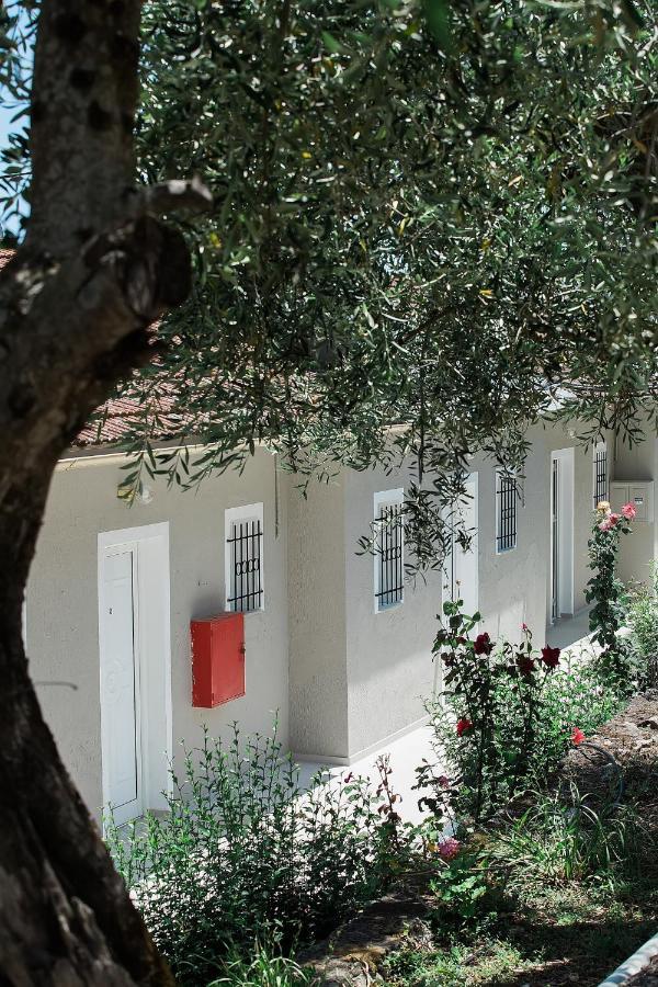 Olive Grove Poolside Apartments Benitses  Exterior photo